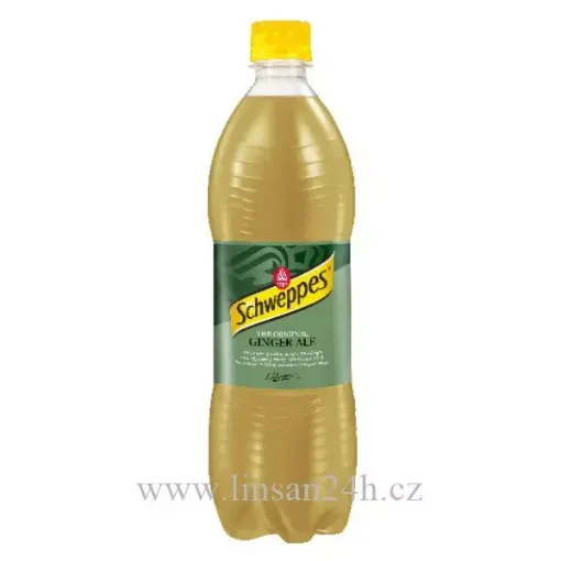 Schweppes 1,5L Ginger ALE